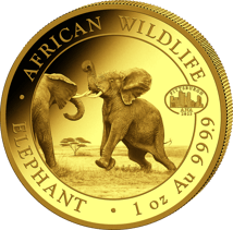 1 Unze Gold Somalia Elefant Motiv 2024 (Auflage: 100 | Privymark: ANA Pittsburgh | Jahrgang: 2023)