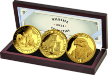 Gold African Wildlife Set 2024 (Auflage: 1.000 | 3 x 0,5 g | Polierte Platte)