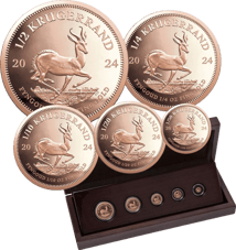 Krügerrand 5 Münzen Fractional Set 2024 PP (Auflage: 500 | Polierte Platte)