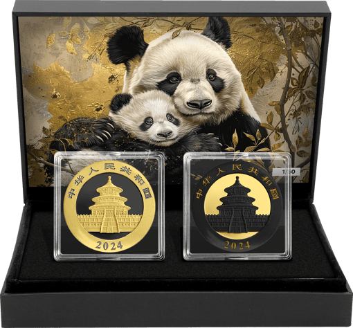 China Panda Silber Set 2024 (Auflage: 50 | Blattgold | Ruthenium)