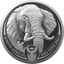 5 Unze Silber Big Five II Elefant 2021 (Auflage: 500)